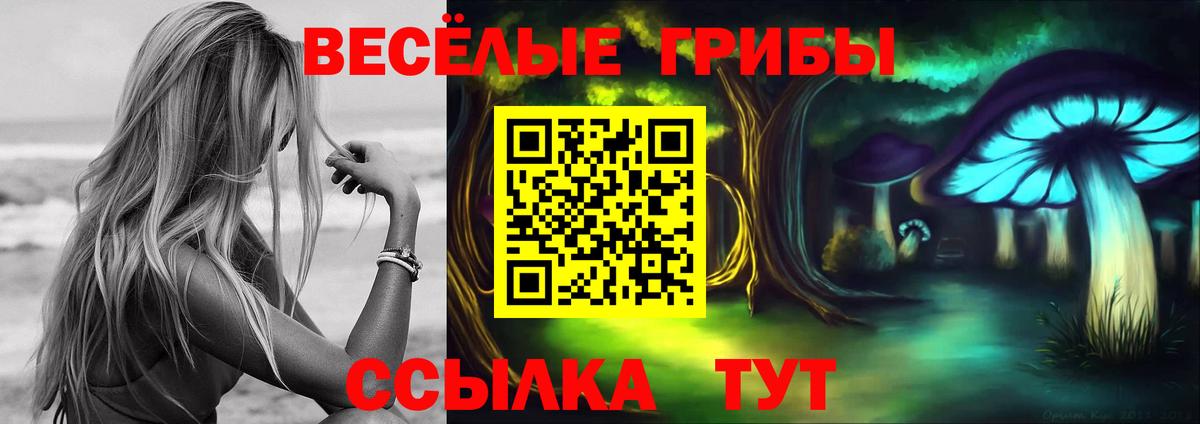 Псилоцибиновые грибы MAGIC MUSHROOMS Москва